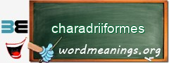 WordMeaning blackboard for charadriiformes